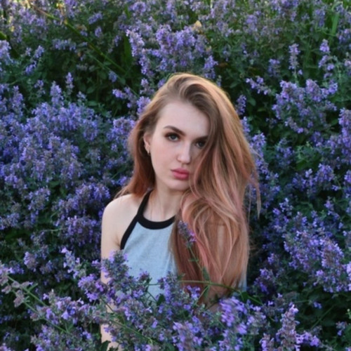 Массажистка Алекса, Москва - Анкета 113431