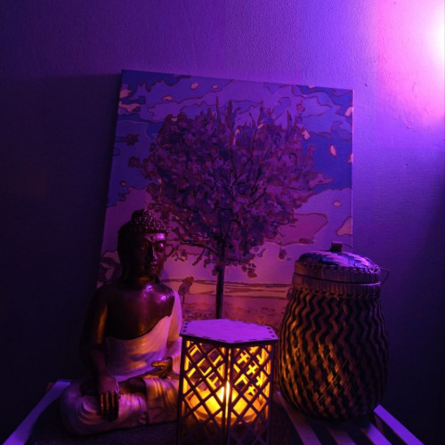 Массажистка Ника, 24 года, Москва - Анкета 98681